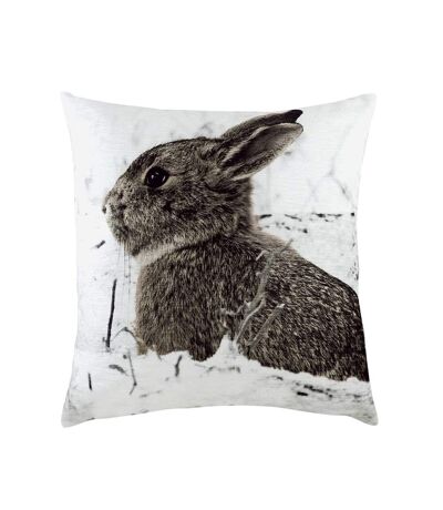 Evans Lichfield Photo Hare Cushion Cover (White/Brown/Powder Blue) (One Size)