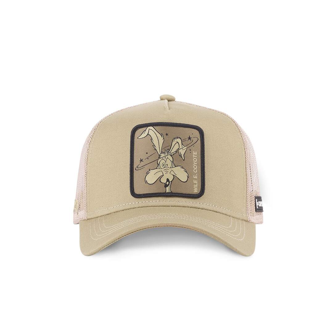 Casquette Looney Tunes Coyote Capslab-2