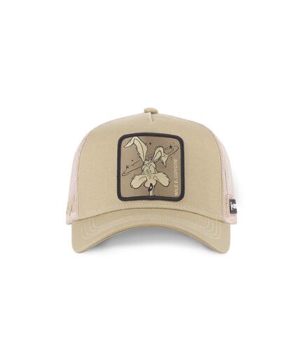 Casquette Looney Tunes Coyote Capslab