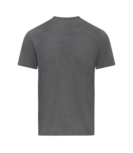 Gildan Unisex Adult Softstyle Midweight T-Shirt (Graphite)