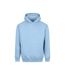 Mens Vision Heavyweight Hoodie Ice Blue Awdis-1