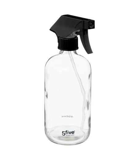 Vaporisateur Spray Flavie 450ml Transparent