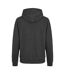 Sweat À Capuche Sentimental Robin Adulte Noir Vif Modern Amusement-2