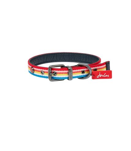 Joules Rainbow Striped Dog Collar (Multicolored) (L)
