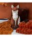 Statue Renard Assis Automn 52cm Rouille-4