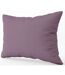 Taie d'oreiller en satin de coton - REF T1-PC - violet prune-1