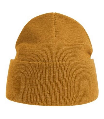 Atlantis Unisex Adult Pure Recycled Beanie (Mustard Yellow) - UTAB549