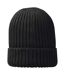 Elevate Unisex Adult Ives Cotton Beanie (Black)