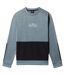 Sweat The North Face Ma Crew Fleece NF0A5IER-1