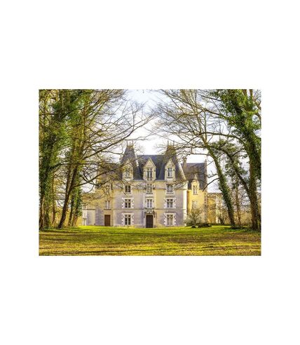 Séjour enchanteur de 3 jours dans un château près de Poitiers - SMARTBOX - Coffret Cadeau Séjour