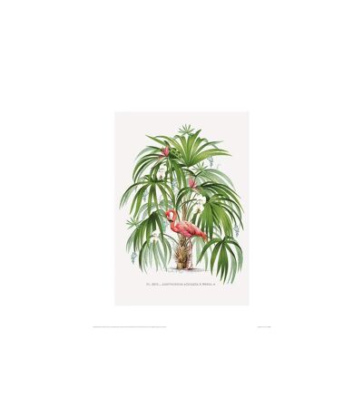 Summer Thornton - Poster (Vert / Rose) (60 cm x 80 cm) - UTPM4617