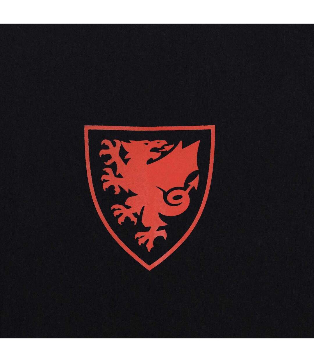 Mens Graphic T-shirt Black FA Wales-3