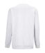 Unisex adult columbia sweatshirt ash SOLS-2