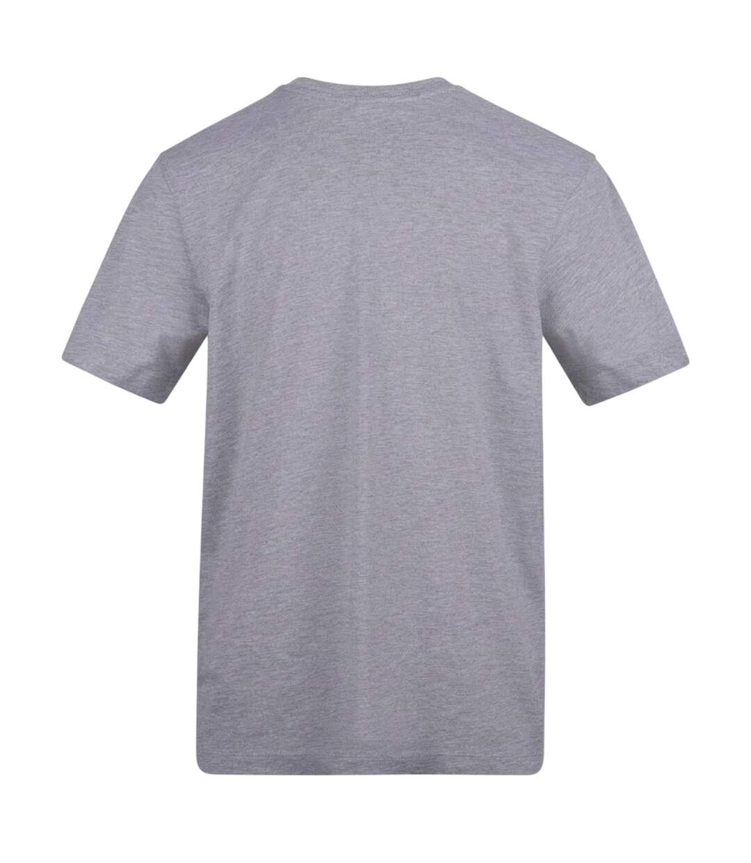 T-shirt Motif/style Imprimé Absolute Scenes Adulte Gris AWD-2