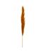 Lot de 3 Fleurs Artificielles Pampa 109cm Orange-3