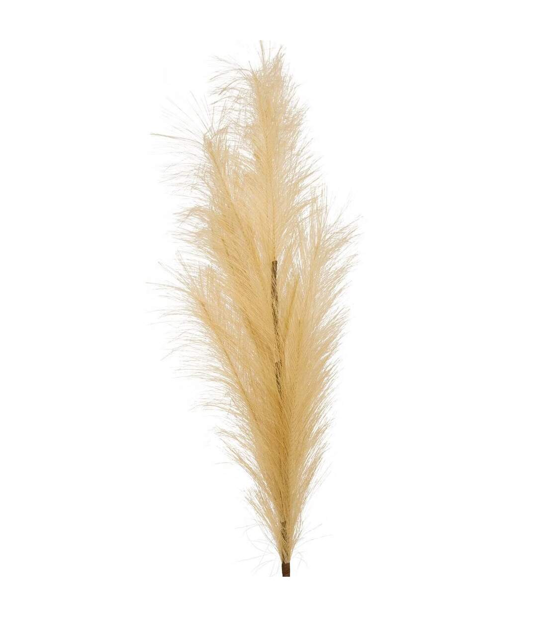 Pampa Artificielle Adna 90cm Beige-2