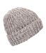 Trespass Unisex Adult Drifter Beanie (Pale Grey) - UTTP6241