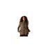 Veste Polaire Motif/style Imprimé Zèbre Frankie Femme Beige Regatta-1
