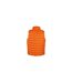 Result Mens Ice Bird Padded Bodywarmer / Gilet Jacket (Orange) - UTBC2726