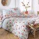 Housse de couette-2