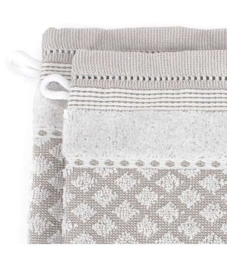 Lot de 2 gants toilette 16x21 LINEN