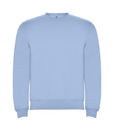 Sweat clasica adulte bleu ciel Roly