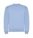 Sweat clasica adulte bleu ciel Roly