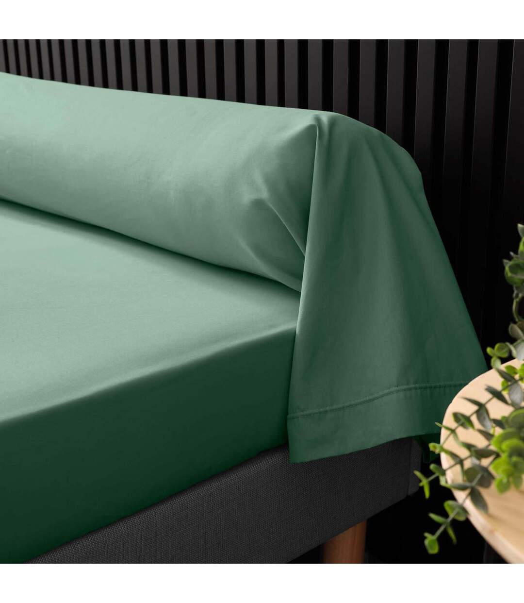 Taie de Traversin Percaline 85x185cm Tilleul-2