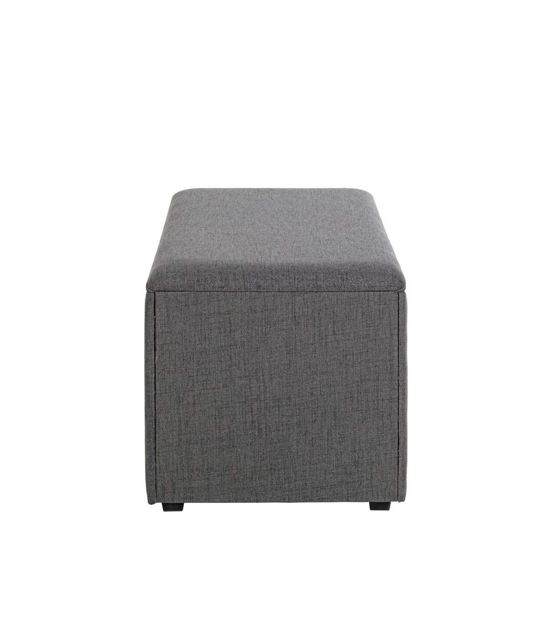 Coffre de Rangement Design Lumyna 65cm Gris-3