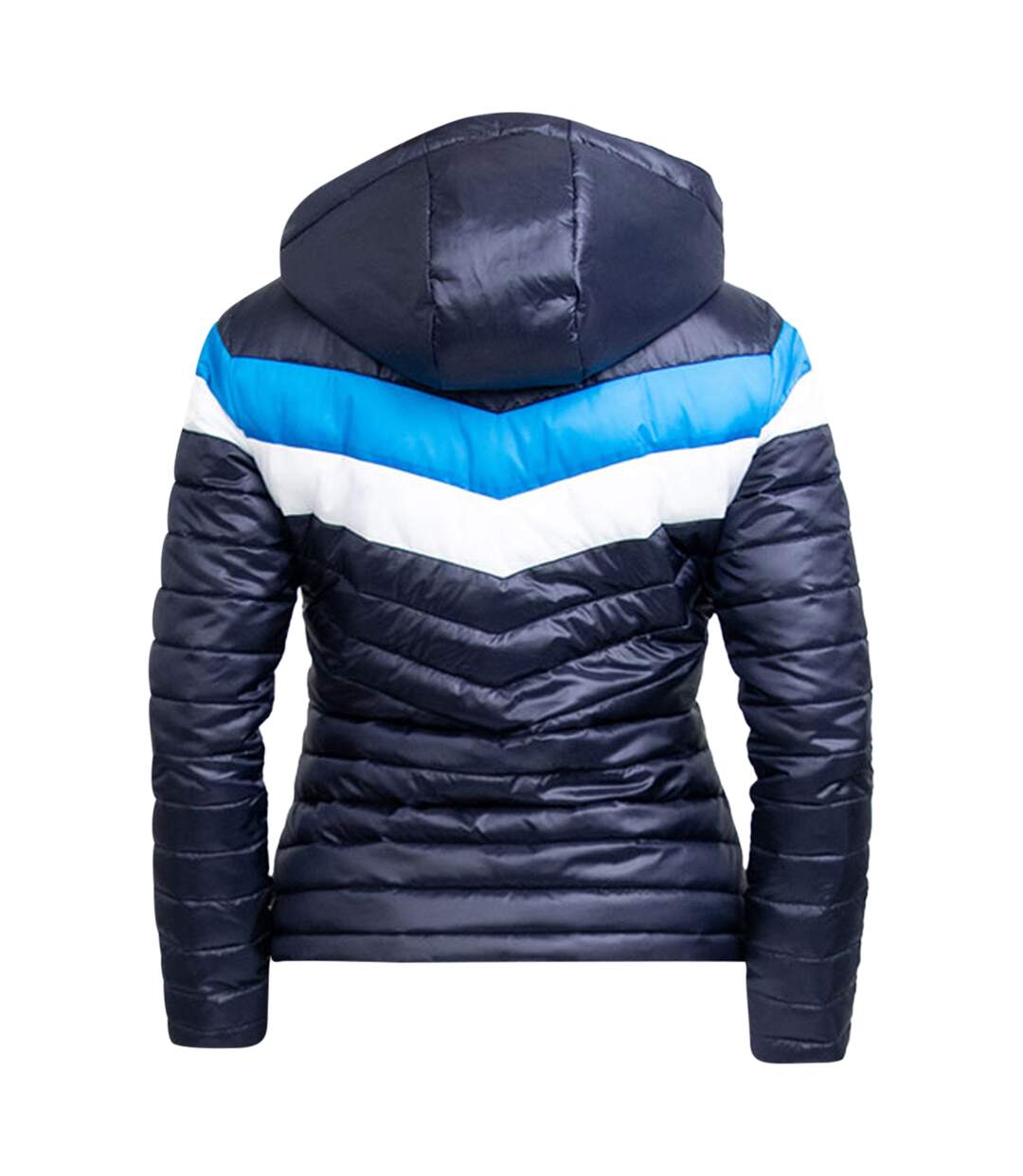 Manteau southdean femme bleu marine / bleu / blanc Coldstream-2