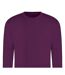 Sweat Adulte Prune Awdis-2