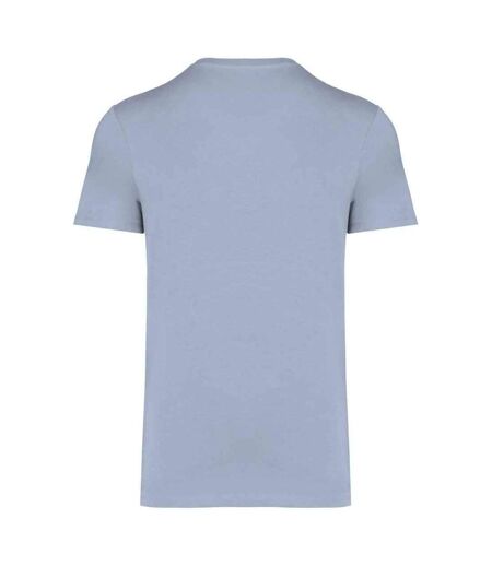 Unisex Adult Heavyweight Slim T-shirt Aquamarine Native Spirit