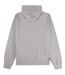 Sweat À Capuche Motif Gros Logo Active Homme Gris Clair Aquascutum-2