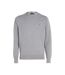 Sweat Homme Gris Tommy Hilfiger-1