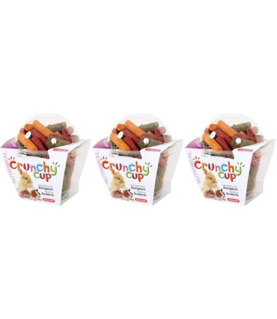 Crunchy cup betteraves - luzerne et carottes 180gr (Lot de 3)