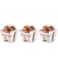 Crunchy cup betteraves - luzerne et carottes 180gr (Lot de 3)