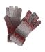 Regatta Womens/Ladies Frosty VI Winter Gloves (Cabernet) (S, M)