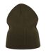 Atlantis Unisex Adult Brad Recycled Slouch Beanie (Olive) - UTAB609