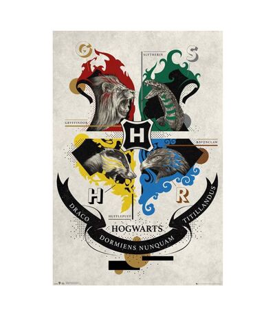 Harry Potter - Poster (Blanc / noir) (Taille unique) - UTTA7723