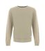 Mens Crew Neck Regular Sweater Top Pastel Mint Firetrap-1