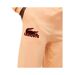 Pantalon de jogging homme orange Lacoste-3