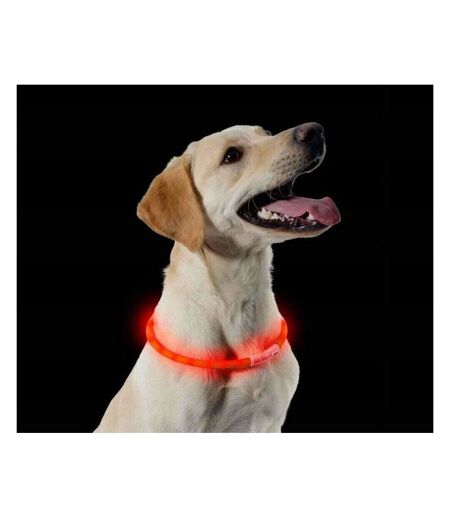 Dog collar light 1 orange Ancol