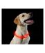 Dog collar light 1 orange Ancol-2