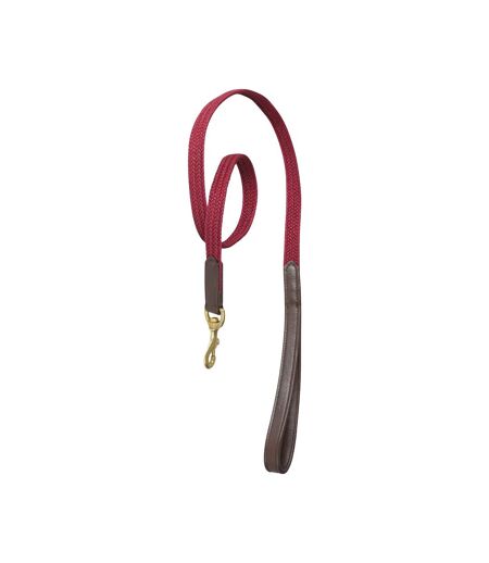 Plaited leather dog lead m brown/maroon Weatherbeeta