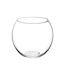 Vase en Verre Boule 19cm Transparent-1