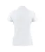 Womens/ladies Surf Light Melange Polo Shirt White Printer-3
