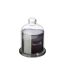 Bougie Parfumée sous Cloche Loyd 650g Douceur Coton