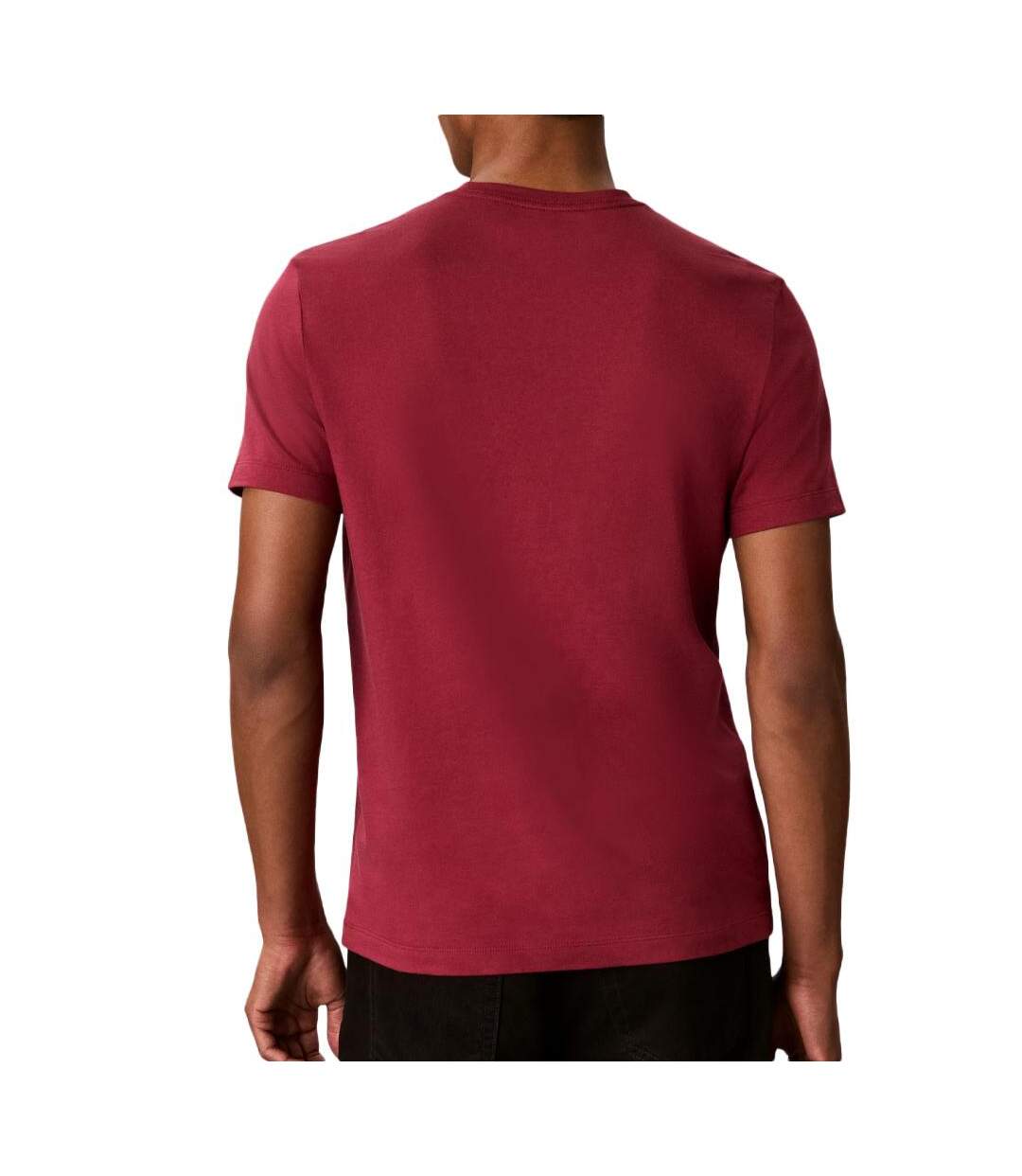 T-Shirt rouge homme calvin klein jeans ss 30s eu crest-2