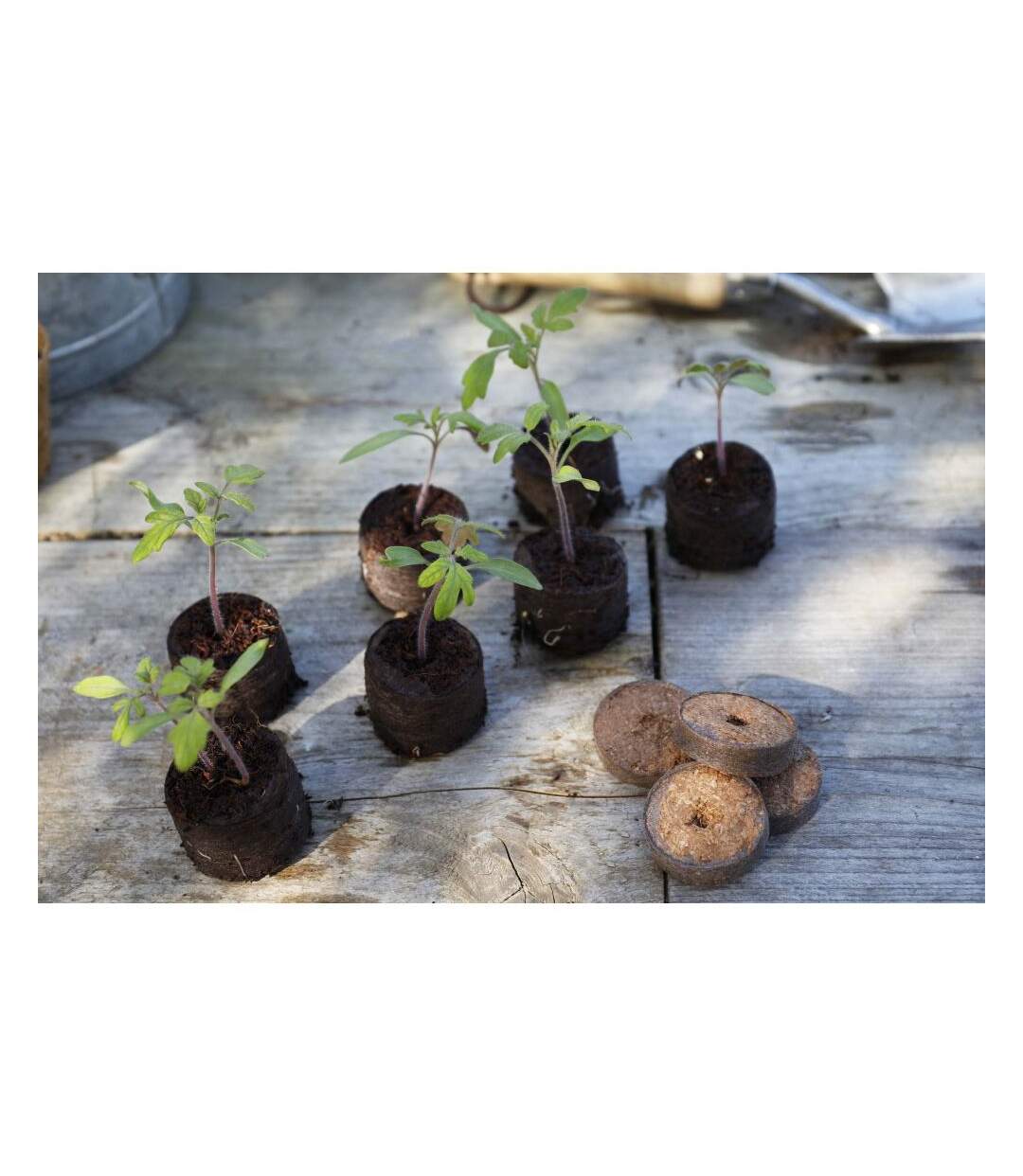 Set de 50 poches de plantation en filet