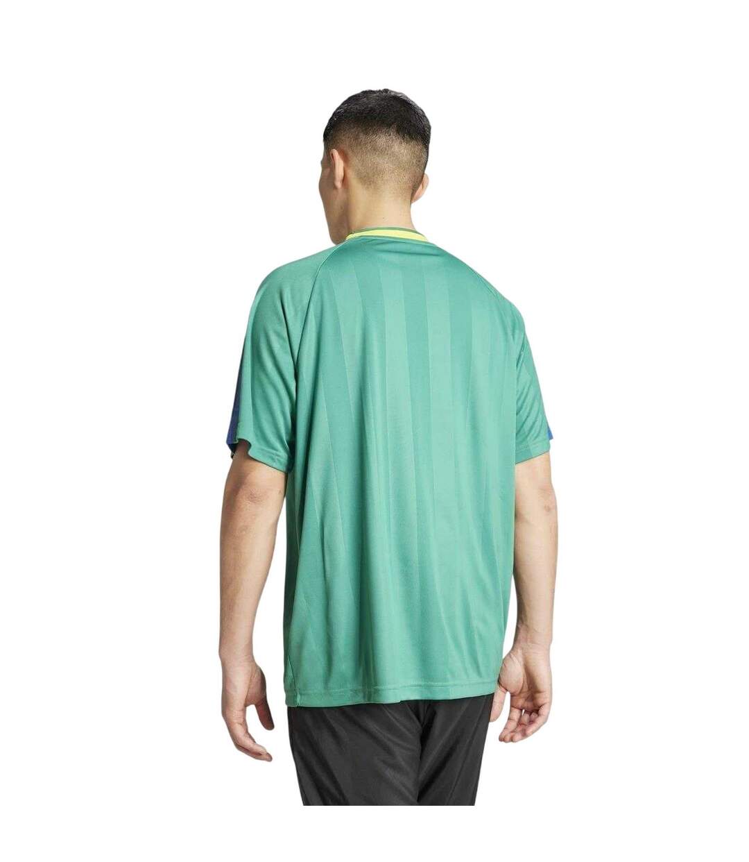 T-shirt House Of Tiro Nations Adulte Vert Bleu Adidas-3